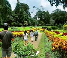 Botanic Gardens Peradeniya