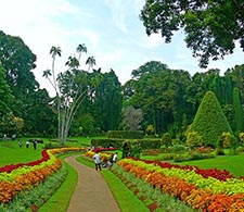 Peradeniya Botanical garden