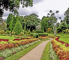 Peradeniya Botanical Garden