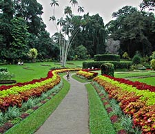 Botanic Garden Peradeniya