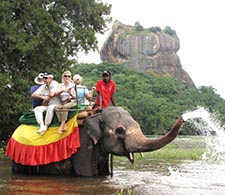 Elephant Back Safari