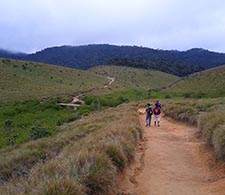 Horton Plains