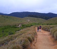 Horton Plains