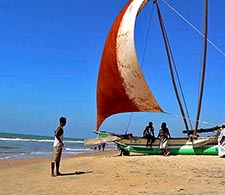 Negombo Beach