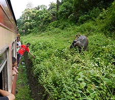 Train Ride