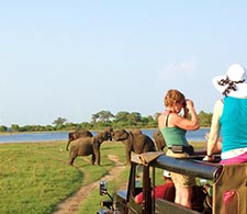 Minneriya National Park