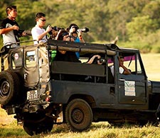 Yala Safari