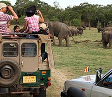 Minneriya National Park
