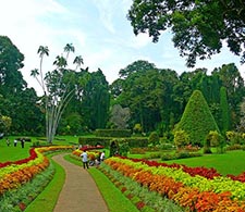 Peradeniya Botanical Garden