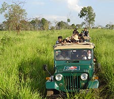 Jeep safari