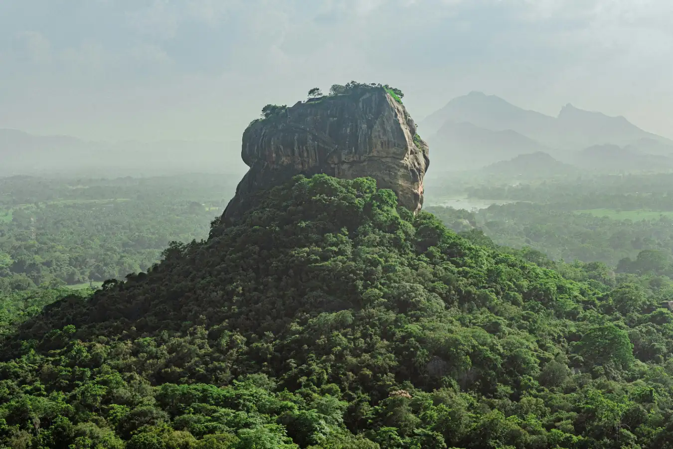 Pinnawala Elephant Orphanage / Sigiriya Rock Fortress