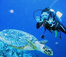 Diving