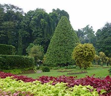 Botanic Garden Peradeniya